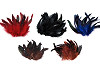 Plumes de poule décoratives - longueur 6-20 cm
