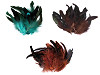 Plumes de poule décoratives - longueur 6-20 cm