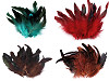 Piume di gallina, decorative, lunghezza: 6-20 cm