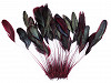 Decorative Rooster Feather length 13-18 cm