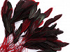 Decorative Rooster Feather length 13-18 cm