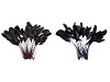 Decorative Rooster Feather length 13-18 cm