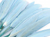 Decorative duck feather length 9-14 cm