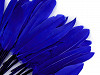Decorative duck feather length 9-14 cm