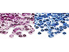 Loose Cupped Sequins Ø6 mm