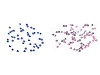 Strass termoadesivi, dimensioni: SS10