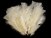 Morčacie perie dĺžka 11-17 cm