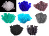 Piume d’oca colorate, lunghezza: 11-17 cm