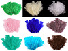 Coloured Turkey Feathers length 11-17 cm