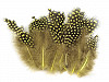 Slepačie perie dĺžka 5 -13 cm