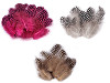Decorative Hen Feathers length 5-13 cm