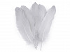 Decorative Goose Feathers length 12-21 cm