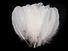 Decorative Goose Feathers length 15-21 cm