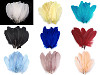 Plumes d’oie décoratives, longueur 12-21 cm