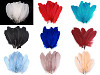 Plumas de ganso decorativas, largo 12-21 cm