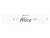 Pletací žinylková příze Alice 100 g