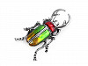 Brooch Beetle