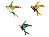 Brooch Bird