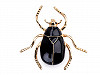 Brooch Beetle