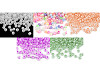 Seed Beads 5/0 - 4.5 mm pearl, opaque