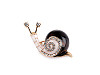 Broche: caracol, erizo