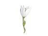 Broche Fleurs
