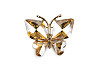 Brooch with Rhinestones, Butterfly