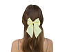 Hair Bow / French Clip