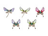 Spilla con strass, motivo: libellula, farfalla