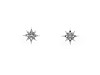 Stainless steel earrings with rihinestones, stars