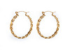 Stainless steel braided circle earrings