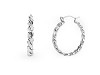 Stainless steel braided circle earrings