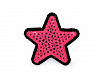 Iron on Patch Star with sequins