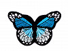 Nažehlovačka motýľ
