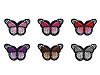 Naprasowanka motyl