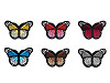 Aufbügler Schmetterling 