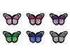 Aufbügler Schmetterling 