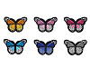 Aufbügler Schmetterling 