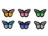 Aufbügler Schmetterling 