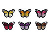 Aufbügler Schmetterling 