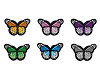 Patch thermocollant Papillon