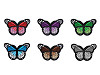 Naprasowanka motyl
