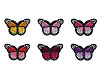 Patch thermocollant Papillon