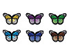 Aufbügler Schmetterling 