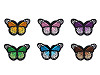 Naprasowanka motyl