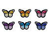 Aufbügler Schmetterling 