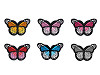 Patch thermocollant Papillon