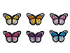 Aufbügler Schmetterling 