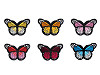 Naprasowanka motyl