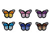 Patch thermocollant Papillon